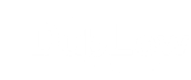 DubLow Digital